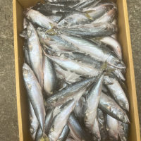 Cá Saba Nhật Bản