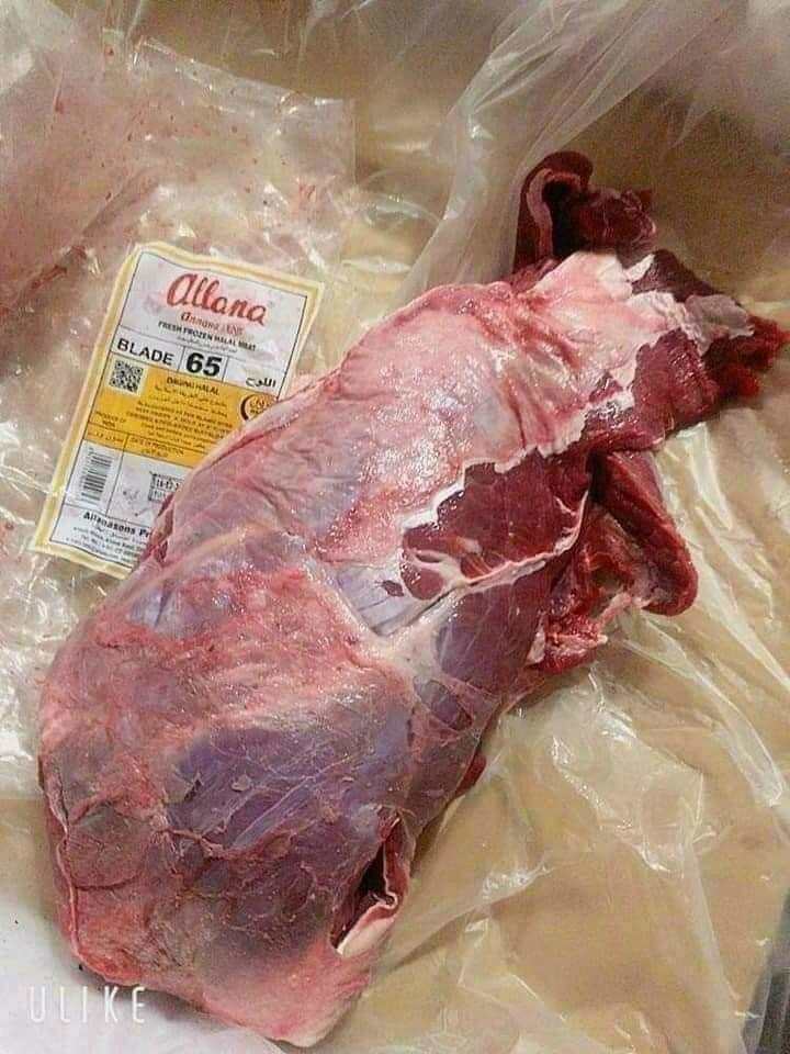 bò mã 65